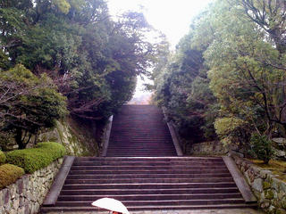filename_=iso-2022-jp''%1B%24B%3CL%3F%3F%1B%28B[13].JPG